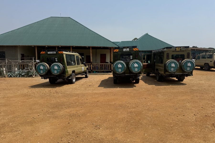 7 Days One Amazing African Safaris Week: Kibale, Queen Elizabeth, Bwindi & Lake Mburo